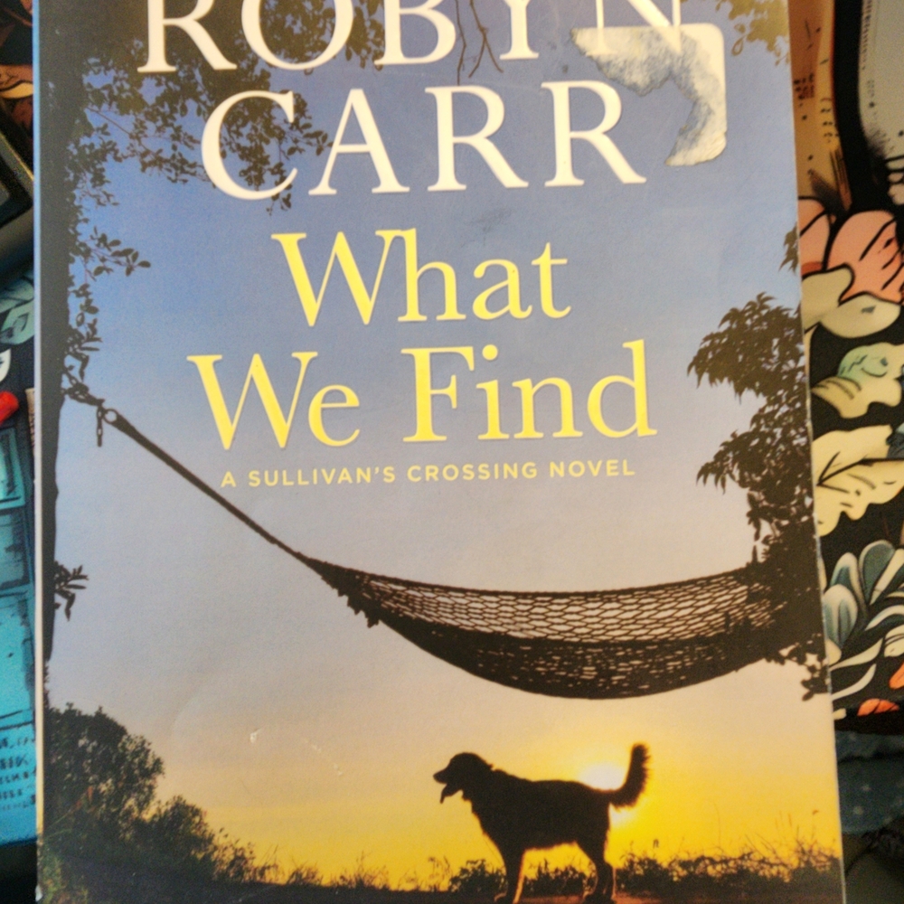 'What We Find' Novel - Blue and Yellow Cover